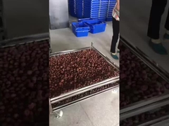 รถขนของเครือสายเหล็กไร้สแตนเลสสําหรับการแห้ง