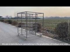 ขนาดที่กําหนดเอง