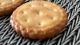 สแตนเลส 304 โลหะทนความร้อนสูงสายพานลำเลียงเบเกอรี่ลวดตาข่ายก้างปลา Bisc